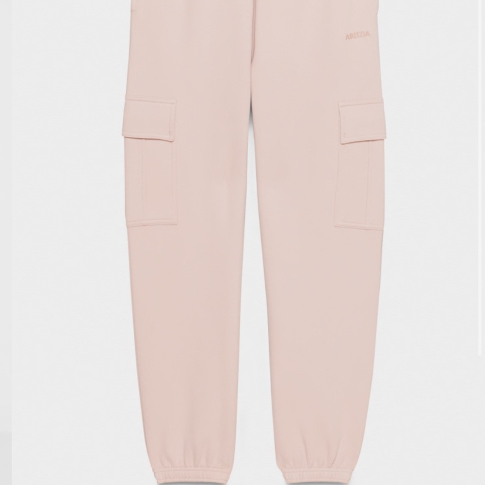 Aritzia Joggers (pre-loved)